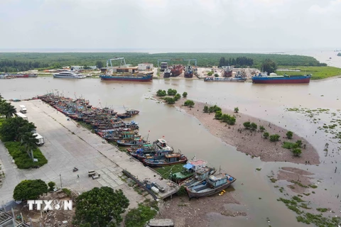 Tàu thuyền chủ động neo đậu tránh trú bão tại Cảng cá Tân Sơn (thị trấn Diêm Điền, huyện Thái Thụy, tỉnh Thái Bình). (Ảnh: Vũ Quang/TTXVN)