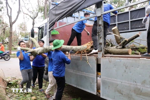 Các lực lượng tập trung hiệp đồng xử lý cây xanh gãy đổ. (Ảnh: Hoàng Ngọc/TTXVN)