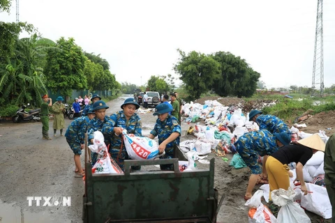 Lực lượng chức năng cùng người dân xã Đại Áng (huyện Thanh Trì, Hà Nội) chuẩn bị gần 10.000 bao tải cát, đóng cọc để gia cố đê tả sông Nhuệ đoạn qua Trạm bơm Hòa Bình. (Ảnh: TTXVN phát)