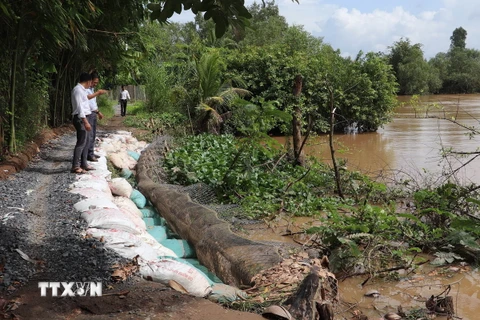 Đoạn sạt lở nghiêm trọng phía bờ Tây sông Cái Lân ở ấp 4, xã Tân Thanh, huyện Cái Bè, tỉnh Tiền Giang. (Ảnh: Minh Trí/TTXVN)