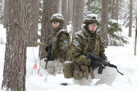 Binh sỹ Estonia. (Nguồn: Estonian World)