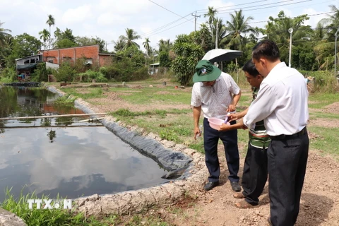 Nhà vườn xã Hưng Khánh Trung B, huyện Chợ Lách, tỉnh Bến Tre chủ động đo độ mặn trước khi tưới cho cây trồng. (Ảnh Công Trí/TTXVN)