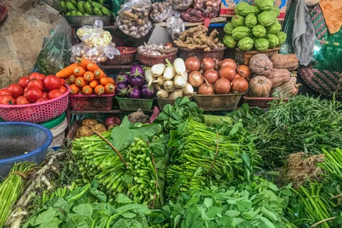 Ghi nhận tại một số chợ dân sinh, các mặt hàng như rau xanh tiếp tục “đi ngang” và duy trì ổn định. (Ảnh: Việt Anh/Vietnam+)