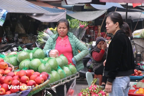 Nhiều loại hoa quả, trái cây đang có mức giá khá 'mềm' tại các chợ truyền thống trên địa bàn thành phố Hà Nội. (Ảnh: Việt Anh/Vietnam+) 