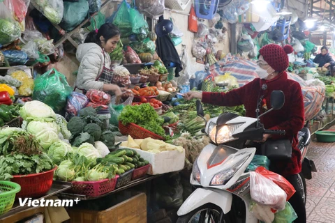 Nhiều loại rau, củ, quả tại các chợ Hà Nội đang duy trì mức giá ổn định vào thời điểm giữa tháng Hai. (Ảnh: Việt Anh/Vietnam+)
