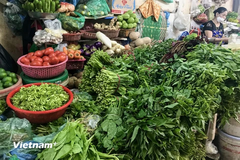 Nguồn cung dồi dào nên rau củ tại các chợ Hà Nội đang có mức giá khá 'mềm.' (Ảnh: Việt Anh/Vietnam+)