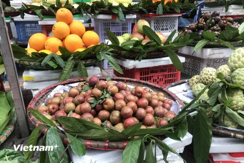 Mặt hàng mận hậu đầu mùa bắt đầu đổ bộ các chợ Hà Nội với mức giá khá cao. (Ảnh: Việt Anh/Vietnam+)