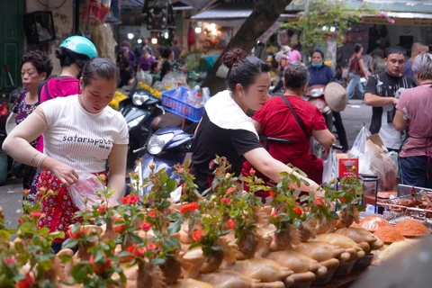 Người tiêu dùng Thủ đô mua sắm chuẩn bị cho dịp lễ Rằm tháng Bảy Âm lịch-Lễ Vu Lan. (Ảnh: Việt Anh/Vietnam+)