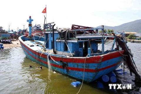 Tàu Trung Quốc uy hiếp, đâm chìm tàu cá Việt Nam là vô nhân đạo 