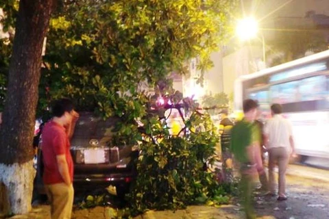 Hà Nội: Xe Prado vượt dải phân cách, húc đổ cây ven đường