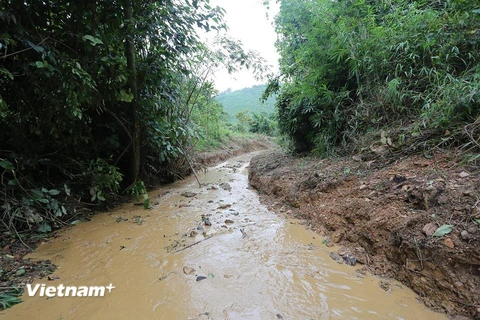 Những dấu vết của dầu thải trên suối Khại (hay suối Trầm) đã dần dần được xoá bỏ. (Ảnh: PV/Vietnam+) 