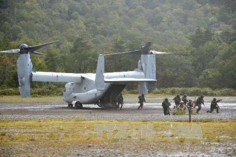 Máy bay vận tải hạng nặng MV-22 Osprey. (Ảnh: Kyodo/TTXVN)