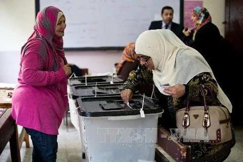 Cử tri Ai Cập bỏ phiếu trong cuộc trưng cầu dân ý về hiến pháp mới tại Cairo. (Ảnh: AFP/TTXVN)