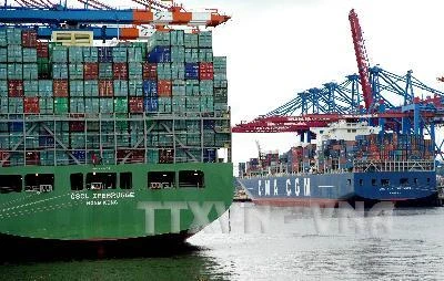 Tàu chở container bỏ neo tại cảng ở Hamburg, thành phố phía bắc Đức. (Ảnh: AFP/TTXVN)