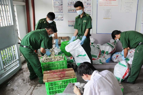 Quảng Ninh ngăn dịch cúm gia cầm ở khu vực biên giới