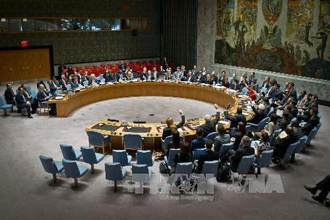 Hội đồng Bảo an Liên hợp quốc bỏ phiếu thông qua nghị quyết về tình hình Syria tại thành phố New York, Mỹ ngày 22/2. (Ảnh: THX/TTXVN)