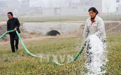 Nông dân Trung Quốc. (Ảnh: AFP/TTXVN)
