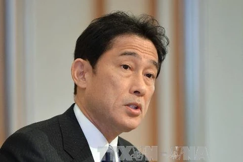 Ngoại trưởng Nhật Bản Fumio Kishida. (Ảnh: AFP/TTXVN)