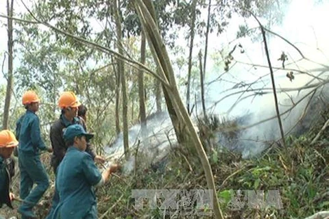 Các lực lượng chức năng và người dân nỗ lực dập các đám cháy rừng trong trong vùng lõi vườn Quốc gia Hoàng Liên. (Ảnh: Nguyễn Thắng/TTXVN)