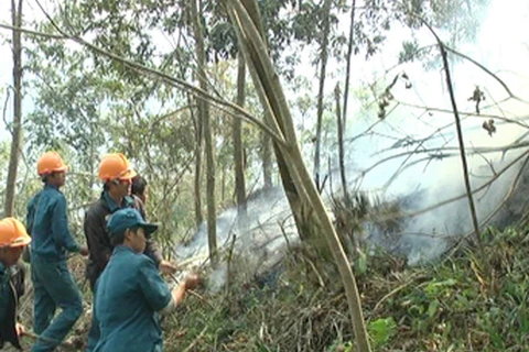 Gần 70.000ha rừng tại Tây Ninh có nguy cơ cháy cao