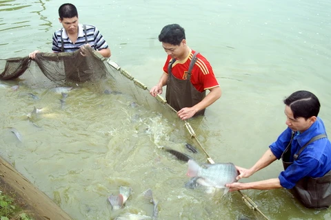 Rà soát các chính sách khai thác, nuôi trồng thủy sản