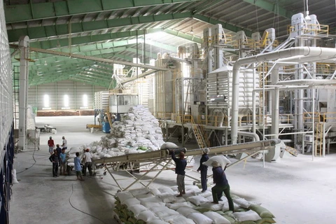 Đồng Tháp thu mua tạm trữ được gần 42.000 tấn gạo