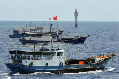 Trung Quốc tăng đánh bắt cá bất hợp pháp tại biển Hàn Quốc
