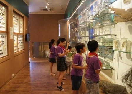 Bảo tàng Thiên nhiên tổ chức trưng bày tiến hóa sinh giới
