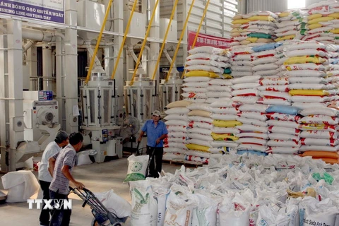 Kim ngạch xuất khẩu gạo vùng ĐBSCL đạt gần 1 tỷ USD