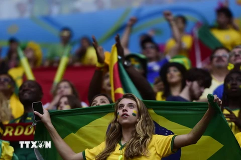 Cảnh sát Brazil bắt giữ 105 kẻ đầu cơ vé World Cup