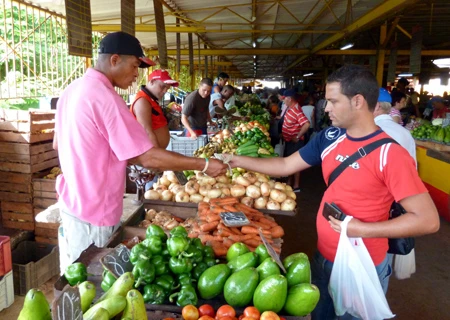 Cuba tìm kiếm các giải pháp giảm nhập khẩu lương thực