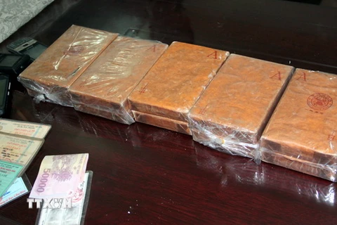 Bộ đội Biên phòng Nam Định bắt đối tượng vận chuyển 6 bánh heroin