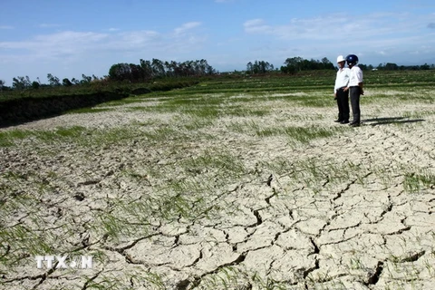 Hà Giang thiệt hại gần 100 tỷ đồng do thời tiết khô hạn