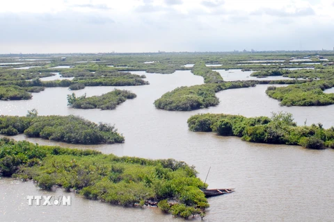 Phê duyệt danh mục dự án 18 triệu USD bảo tồn khu đất ngập nước