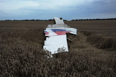 Mốc thời gian quan trọng của chiếc máy bay bị rơi MH17