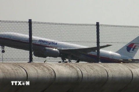 Máy bay MH17 đang ở tình trạng vận hành tốt trước khi bị rơi
