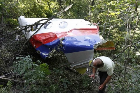 LHQ yêu cầu chấm dứt giao tranh ở khu vực máy bay MH17 rơi