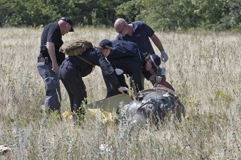 Lệnh ngừng bắn khu vực máy bay MH17 rơi vẫn có hiệu lực