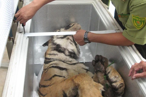 Bảo tồn loài hổ ở Việt Nam theo hướng bền vững và lâu dài
