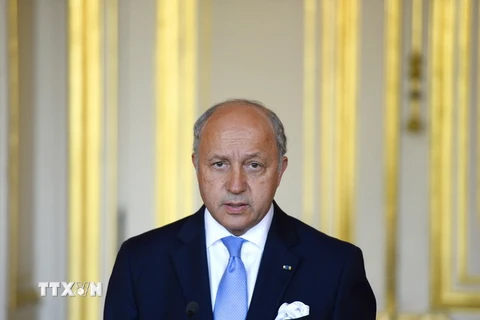 Pháp cân nhắc viện trợ vũ khí cho người Kurd chống lại IS