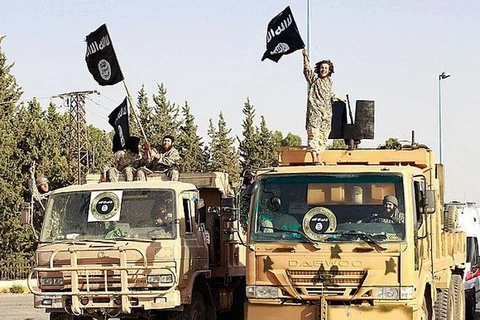 Thủ lĩnh hàng đầu của tổ chức IS tại Syria bị tiêu diệt 
