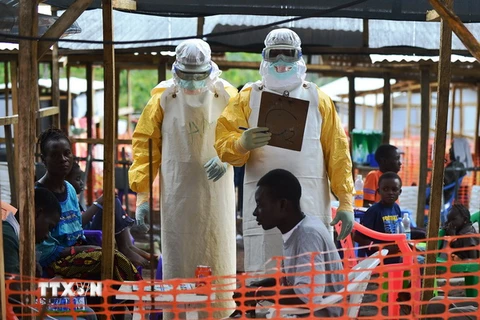 Các bệnh nhân Ebola sử dụng thuốc ZMapp có tiến triển tốt