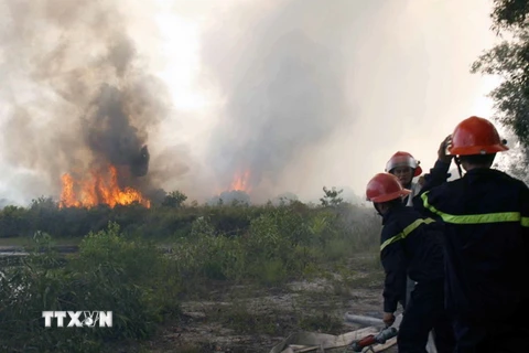 Đà Nẵng: Hai vụ hỏa hoạn gây thiệt hại khoảng 17ha rừng