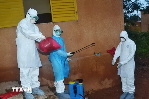 Nhật Bản tìm ra cách xác định virus Ebola trong vòng 30 phút