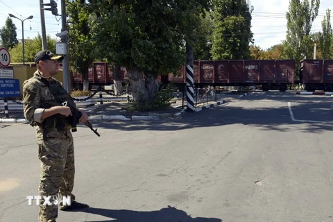 Nga sẵn sàng phối hợp với OSCE giúp giảm xung đột ở Ukraine