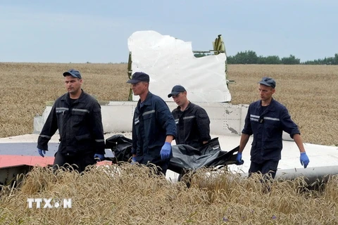 Tình báo Đức: MH17 nhiều khả năng bị quân ly khai Ukraine bắn