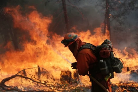 Mỹ: Hỏa hoạn hoành hành dữ dội, thiêu rụi hơn 360km2 rừng