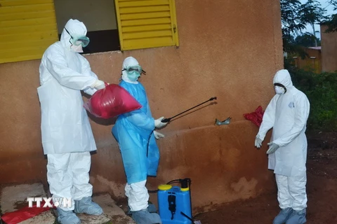 WHO: Dịch Ebola sẽ bùng phát mạnh nếu không hành động quyết liệt