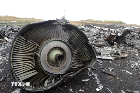 Hà Lan, Australia sẽ quyết định thời điểm trở lại hiện trường MH17