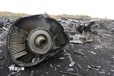 Các nhà điều tra có thể trở lại hiện trường vụ MH17 vào 2015